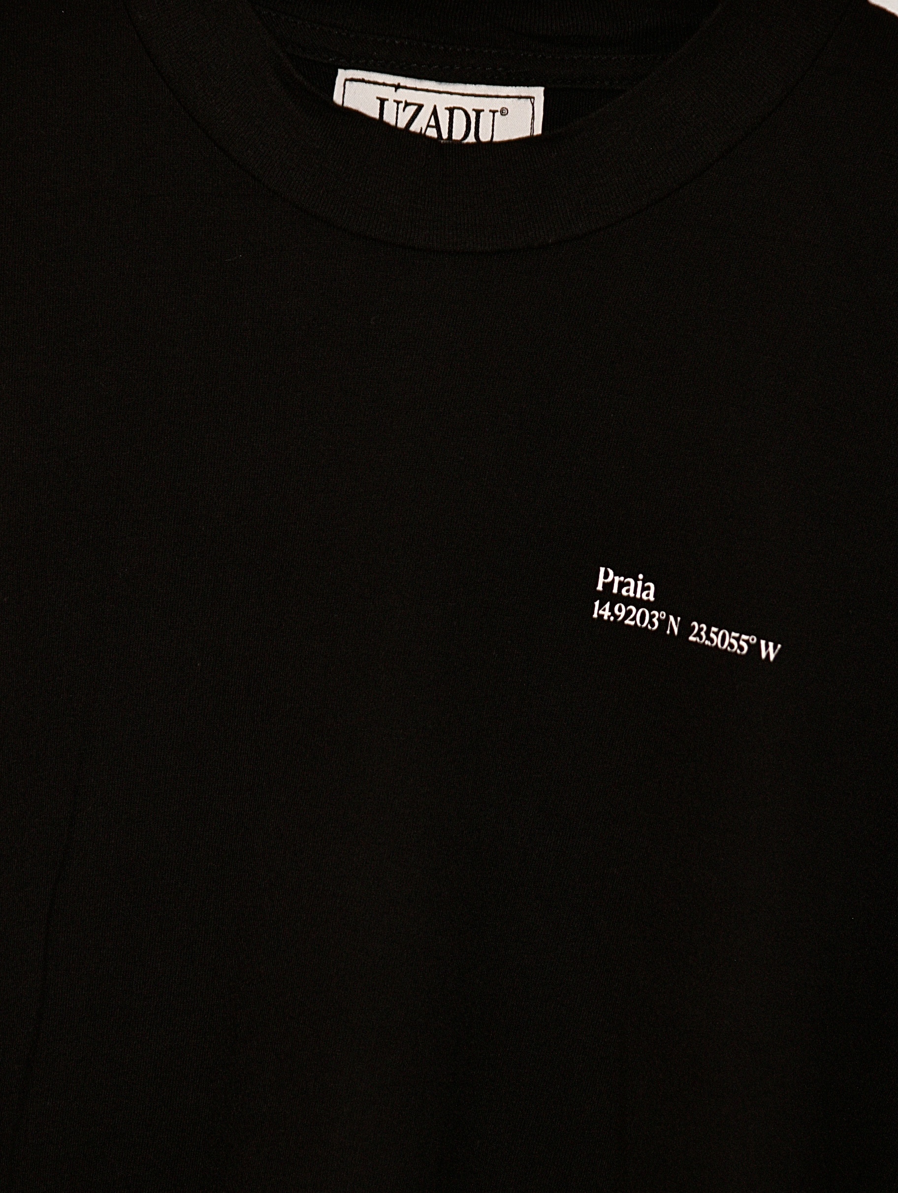 Native Independence Tee thumbnail 3
