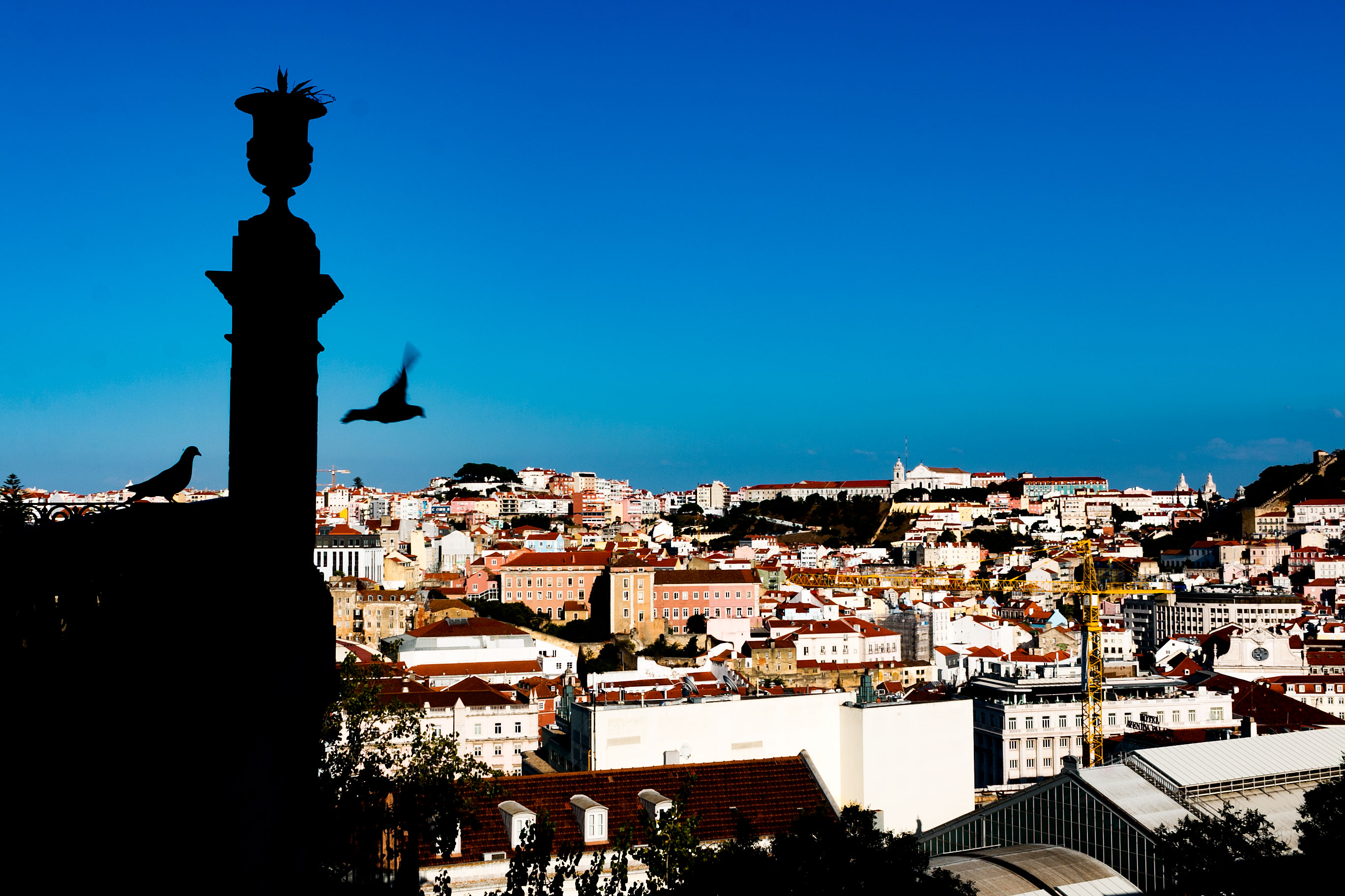 Pombinhas - Panoramic view of Lisbon with silhouetted monument and seagulls against vibrant cityscape